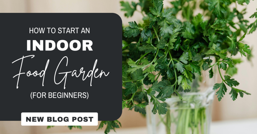 How to Start an Indoor Food Garden (for Beginners)